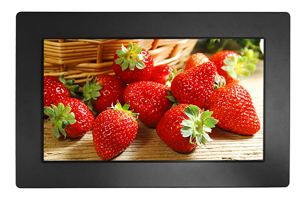 18.5 Inch Panel Mount LCD Monitor