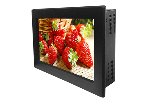 18.5 Inch Panel Mount LCD Monitor