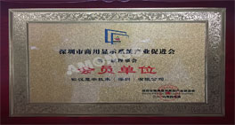 Celebrar calorosamente Amongo Tornar -se um DOS primeiros membros do Shenzhen B2B Display System Industry Association