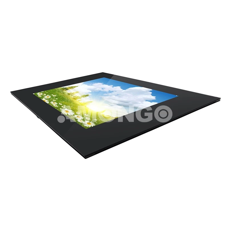 monitor LCD de alto brilho