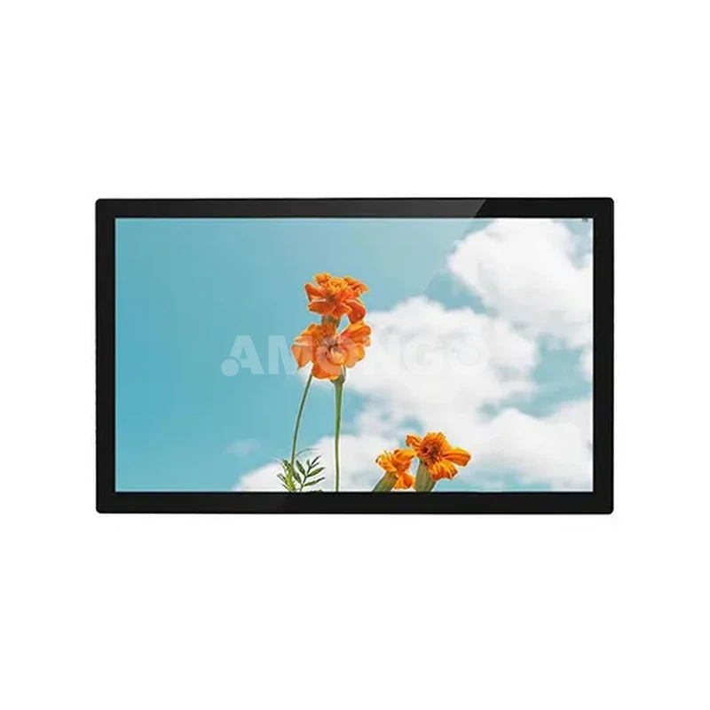 Amg 21iprv01t1 display de alto brilho